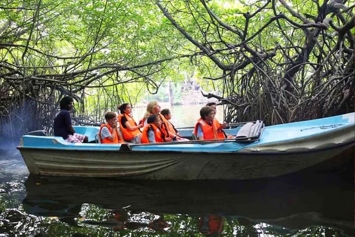 Boat safari on the Bentota River with mangroves