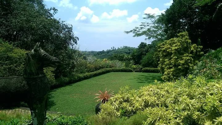 Brief Garden landscaped grounds and tropical garden paths
